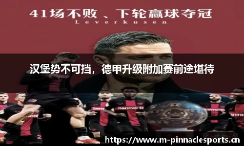 汉堡势不可挡，德甲升级附加赛前途堪待