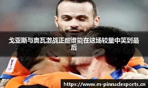 平博体育官网