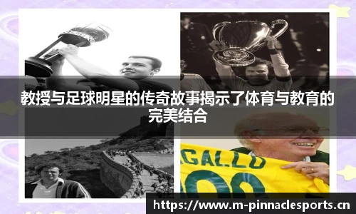 平博体育官网